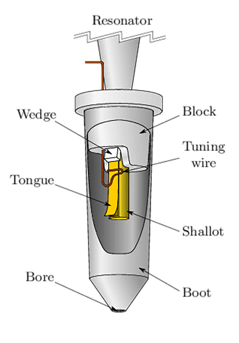 Structure of a reed organ pipe